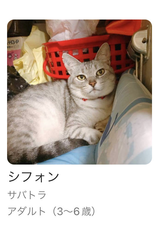 68B50BB2-867F-4FCC-9F5B-191F8584C0E5